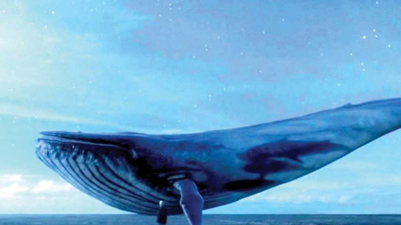 You are currently viewing The Blue Whale Challenge
