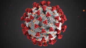 Read more about the article Instructions of the Corona Virus