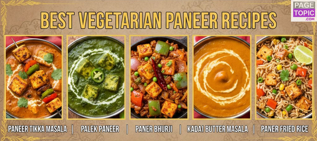 Vegetarian Paneer Recipes